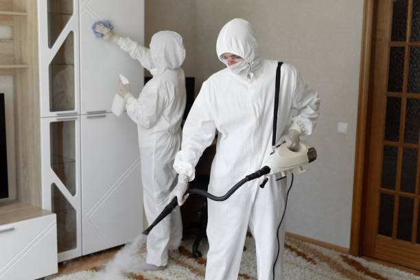 Home Mold Removal in Borden, IN